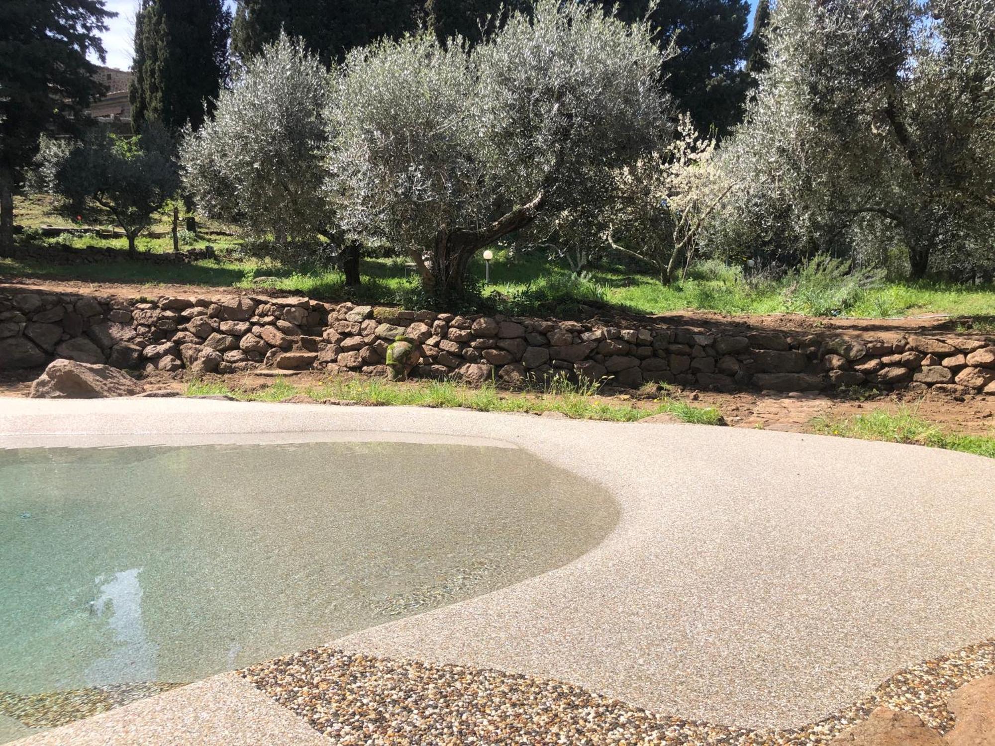 Torre Dei Belforti Montecatini Val di Cecina Bagian luar foto