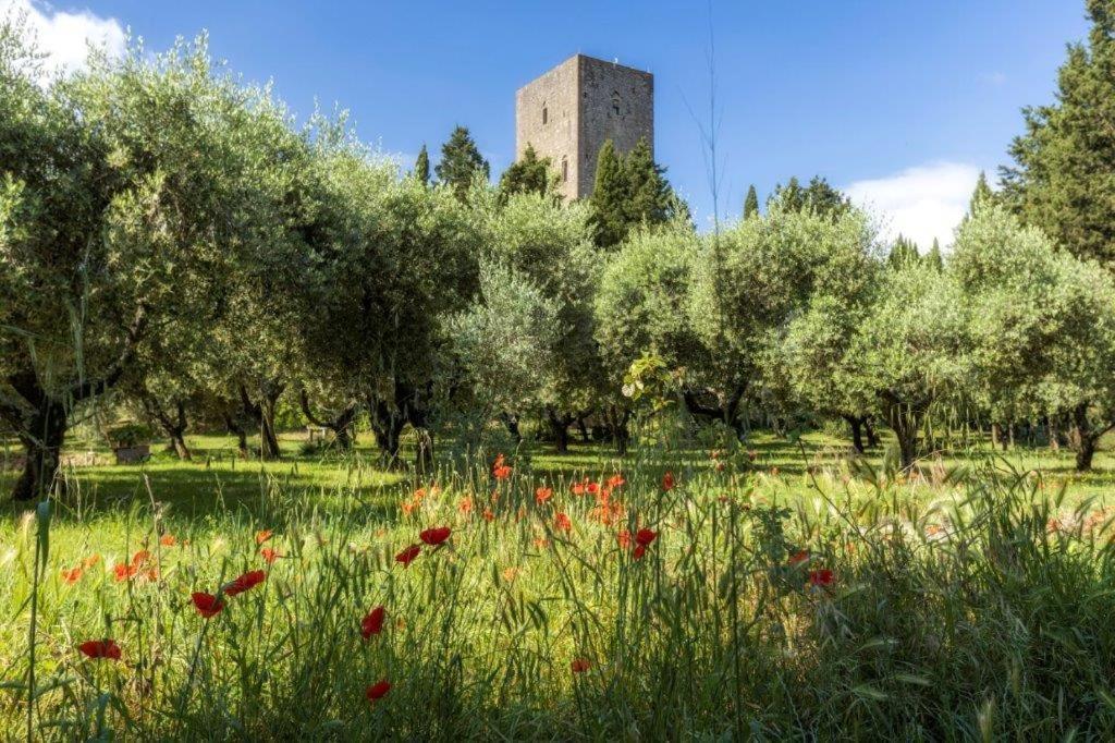 Torre Dei Belforti Montecatini Val di Cecina Bagian luar foto