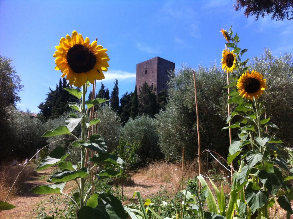 Torre Dei Belforti Montecatini Val di Cecina Bagian luar foto